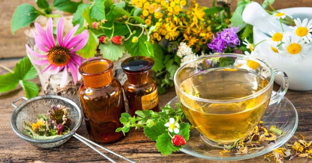 Infuzii pe bază de plante pentru tratamentul osteochondrozei cervicale