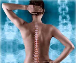 ilustrare a coloanei vertebrale